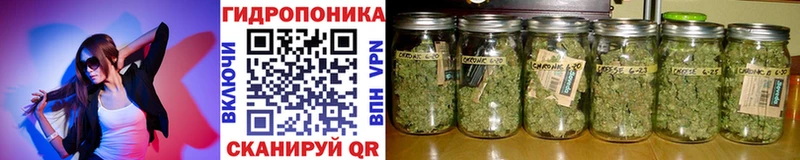 Все наркотики Усть-Джегута Каннабис Мефедрон СОЛЬ АМФЕТАМИН ГАШИШ