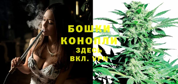 бошки Ладушкин