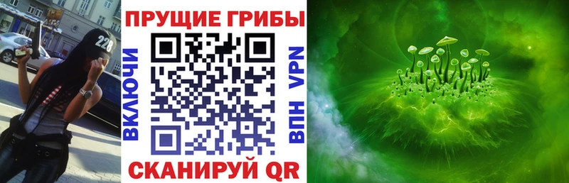 Псилоцибиновые грибы Psilocybe  Усть-Джегута 