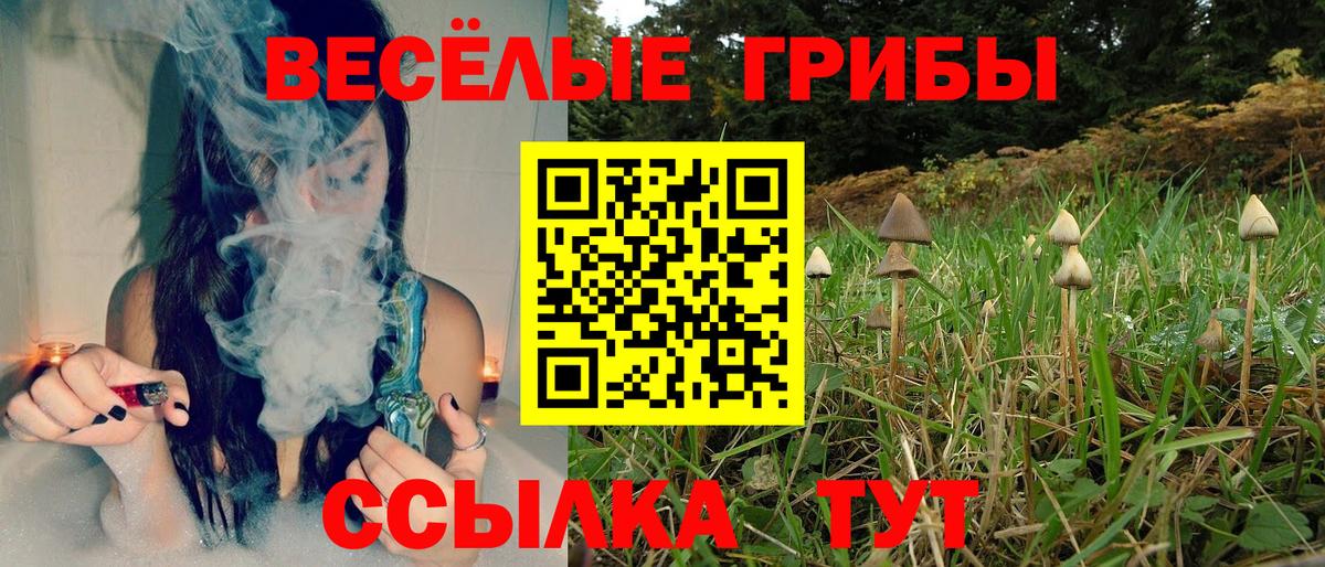 Псилоцибиновые грибы мицелий Усть-Джегута